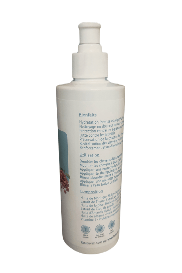 shampoing huile d'argan et moringa 400 ml